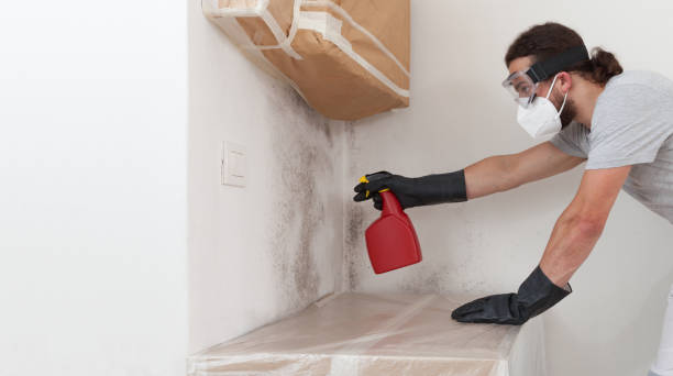 Professional Bathroom Mold Removal technician working in Lock Haven, PA