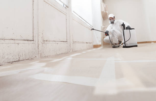 24/7 Emergency Bathroom Mold Removal experts in Lock Haven, PA